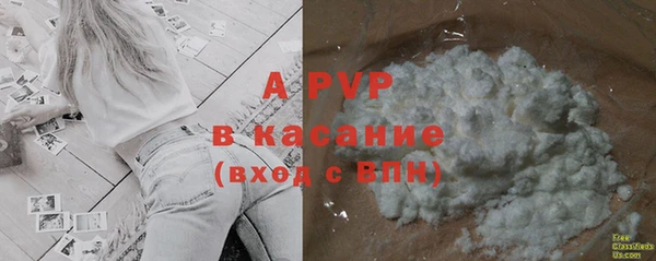 амф Надым