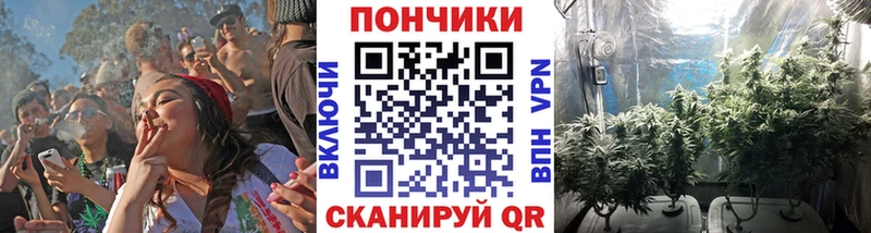 Конопля гибрид  дарнет шоп  Новосиль 